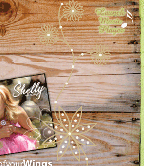 Shelly Wilson Ministries